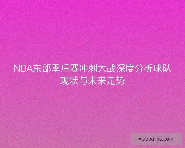 NBA东部季后赛冲刺大战深度分析球队现状与未来走势