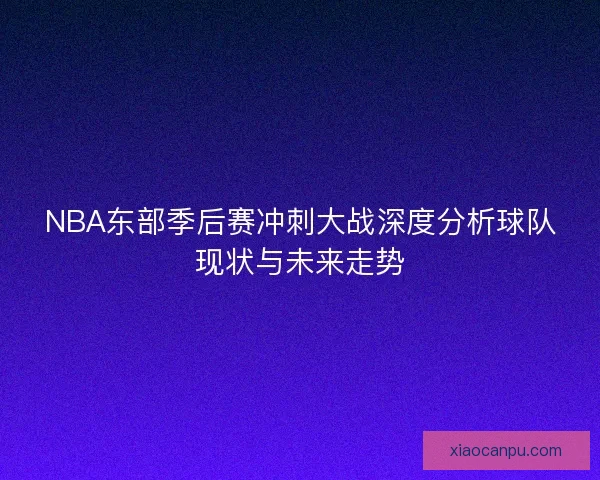 NBA东部季后赛冲刺大战深度分析球队现状与未来走势